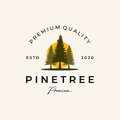 pine trees logo vector illustration icon symbol background label template design