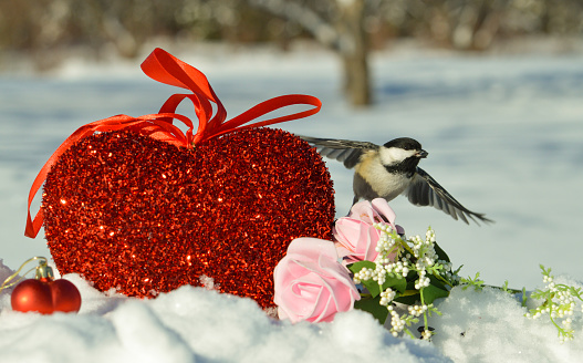 Valentine chickadee