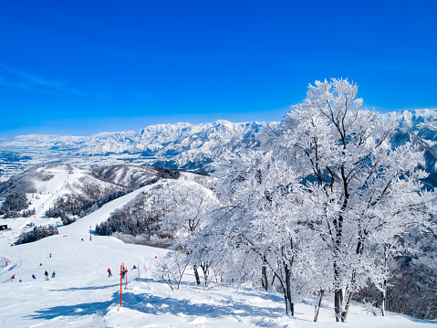 Snow World in ”Kagura-Mitsumata\