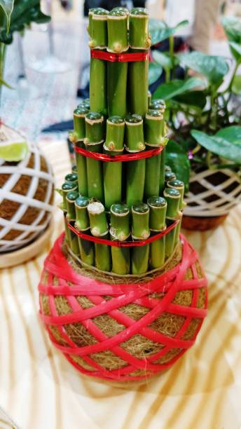 istock Kokedama Mini bamboo or bamboo bonsai for home interior decoration 1464619990