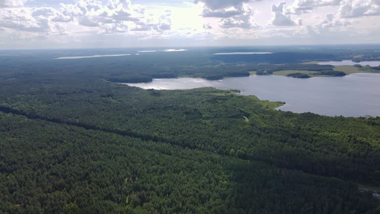 Aerial view, drone footage. Big green summer forest and wide blue river. Summer day.