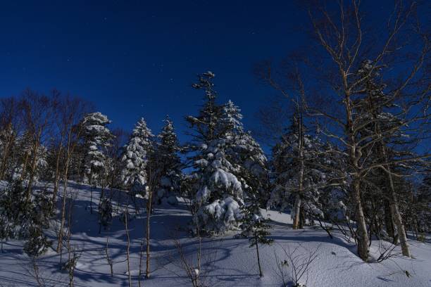 長野県横手山の冬の星空 - rime ストックフォトと画像