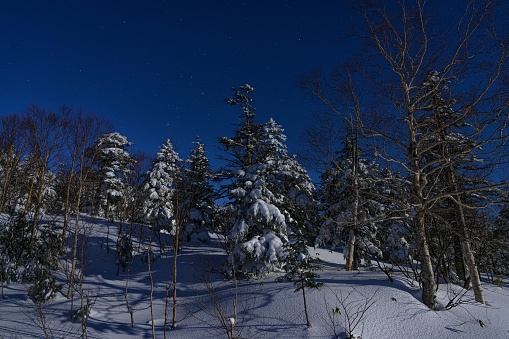 This is a winter starry sky at Mt. Yokote in Nagano prefecture, Japan.\nMt. Yokote is located in Shiga highland, it is well known as a tourist destination for its amazing skiing resort in Japan.\nBut also its landscape is very beautiful and many photographer come and take photos every season.