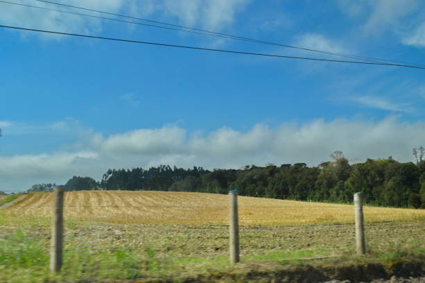 istock Santa Catarina landscape 1464628622