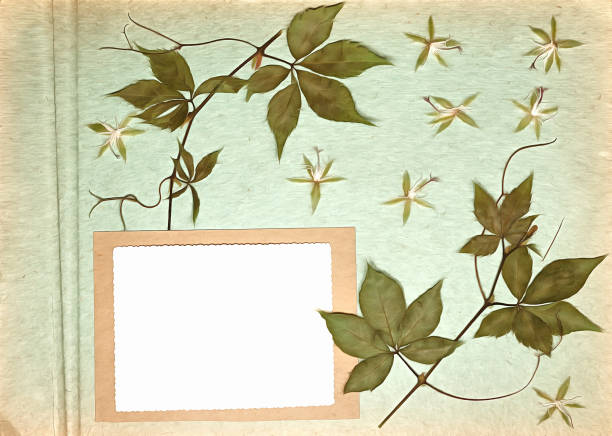 istock Page from old photo album. Scrapbooking element. Watercolor drawing flowers. For wrapper pattern or greeting, card. Invitations und congratulations. Ecology style. Watercolor digital painting 1464629672