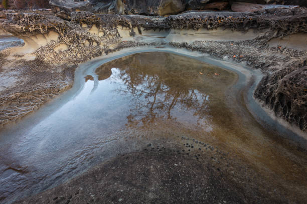 Unique sandstone formations along the shoreline of Hornby Island, a popular travel destination along the west coast of Canada.