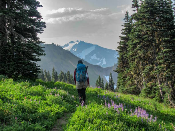 backpacker mit bergblick, olympic national park - wilderness area stock-fotos und bilder