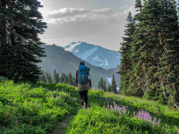 Backpacker with Mountain View, Olympic National Park