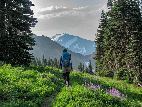 Backpacker hiking through wildflowers towards view of Mount Carrie in Glacier National Park near High Divide Trail