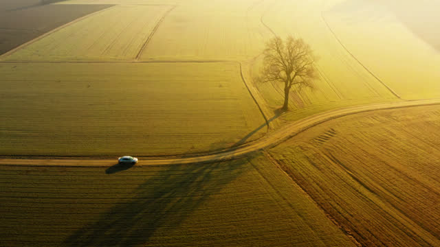 Top down view of a car driving down a field path past a lone tree at a beautiful sunset