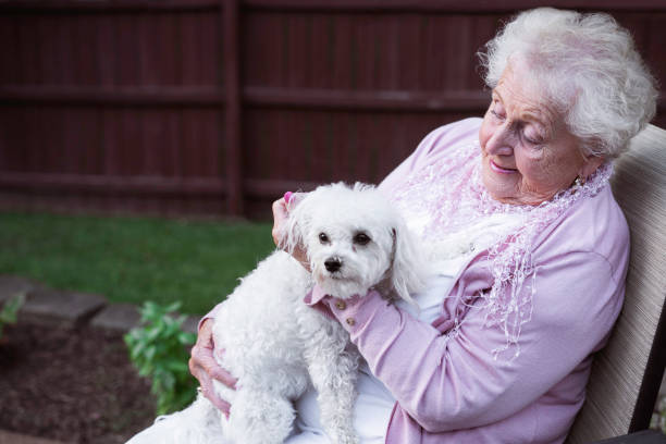istock Woman pets a sweet fluffy white dog 1464636074