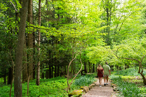 Man and daughter walk down a trail in the woods,  Farmington, PA, USA