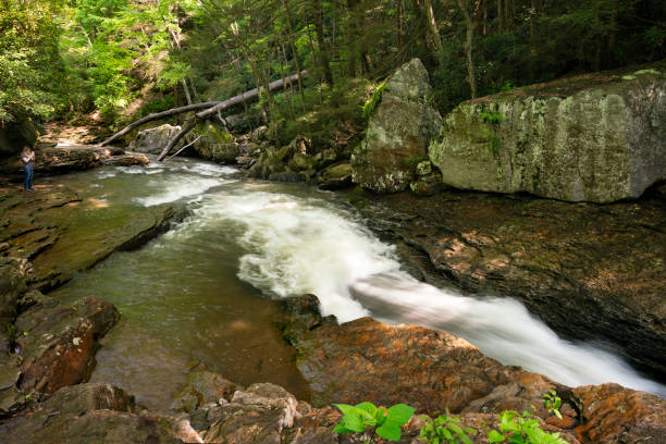 Shenandoah National Park - Nicholson Hollow Trail