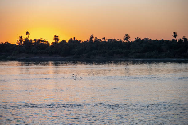 istock Birds Flying During Sunset over the Nile River 1464637211