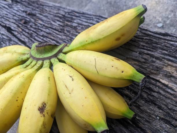 istock Ripe banana. Macrophotography 1464639869