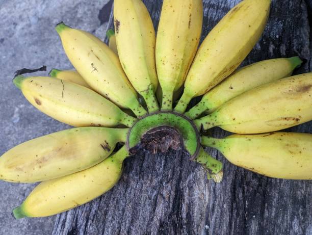 istock Ripe banana. Macrophotography 1464639912