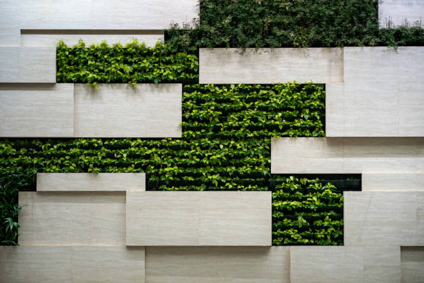 istock Wall in modern interior with blocks and vertical garden. 1464642304