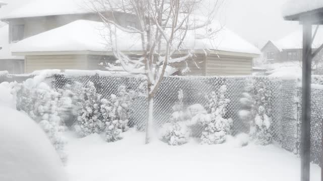 View of the trees, bushes, gazibo on backyard in heavy snowfall with blizzard and wind gusts against the background.