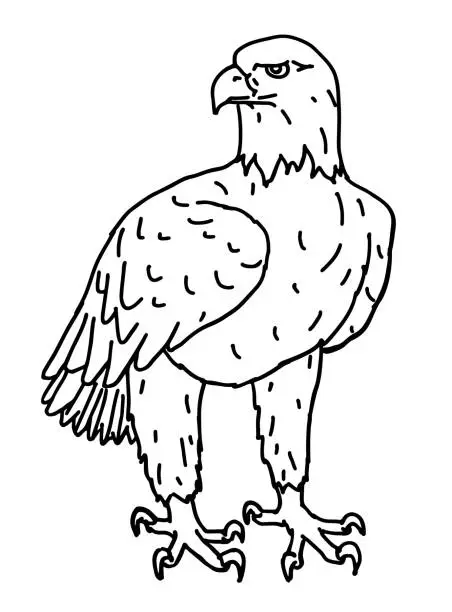 Vector illustration of Standing eagle