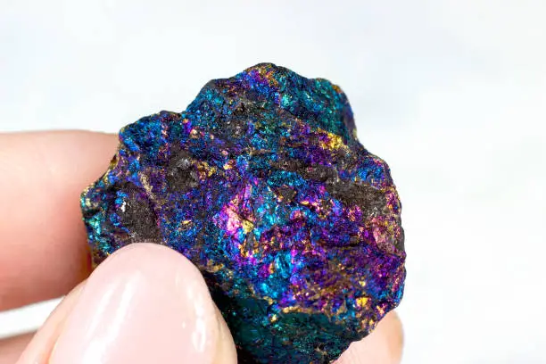 Woman hand holding shiny rainbow crystal Peacock ore or Bornite (Chalcopyrite) on light background close up.