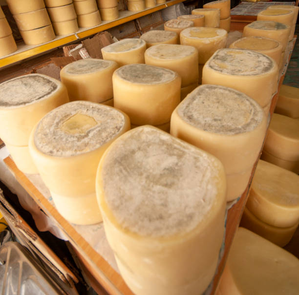 istock Famous traditional Cheddar cheese rolls at Kars Turkey 1464663176