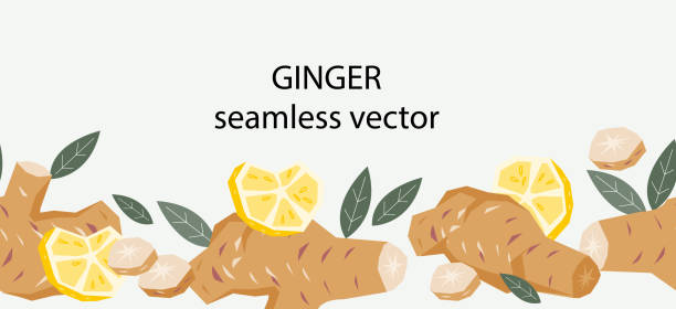 root border design vecteur gratuit | AI, SVG et EPS