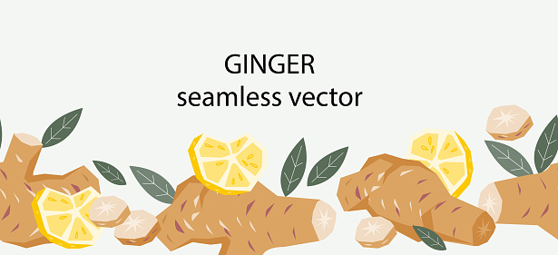 Root Border Simple root border design vecteur gratuit | AI, SVG et EPS