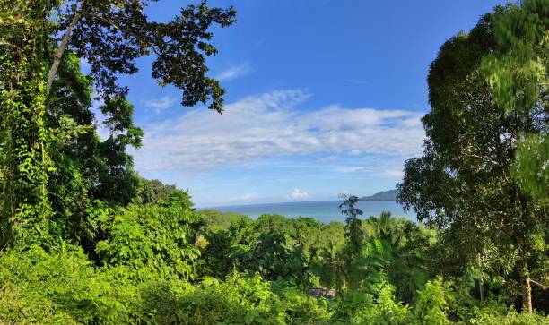 istock Natural scenery in the Suli area, Maluku 1464666660