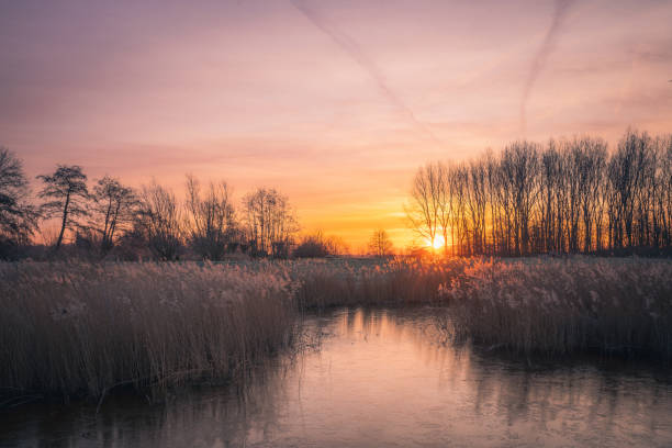 istock Beautiful sunrise over the water. 1464675486