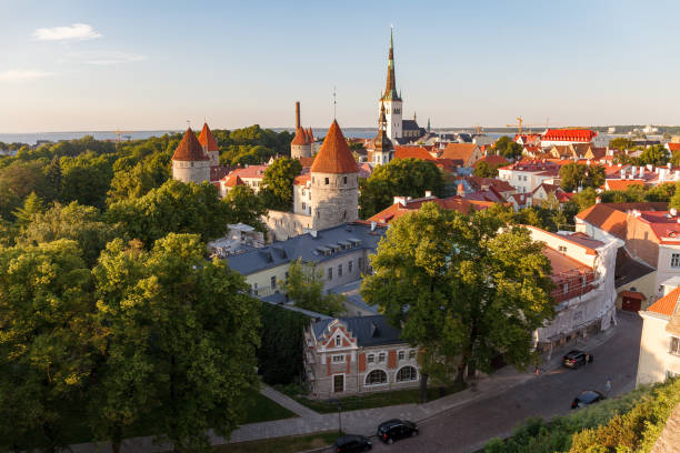 Tallinn old town roof top view. Sunset in summer. stock photo