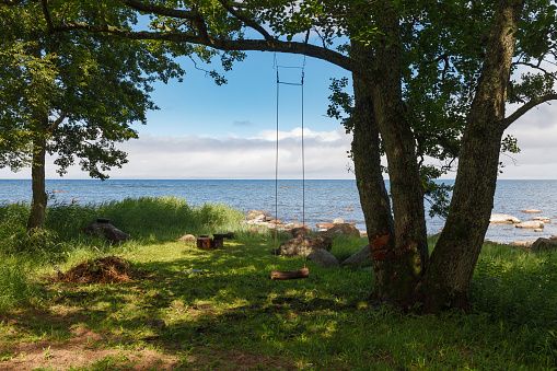 Baltic sea shore with boulders, grass and trees. Daytime. Kid swing on the tree.