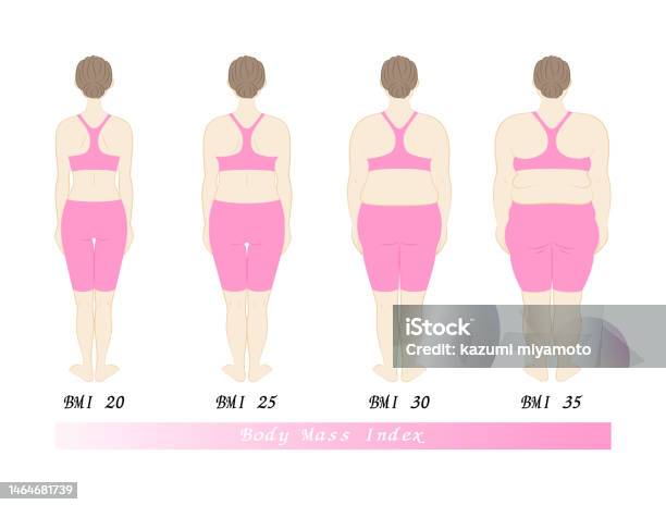 Body Shapes Back Before And After Dieting Body Shape Change By Body Mass Index Female ...