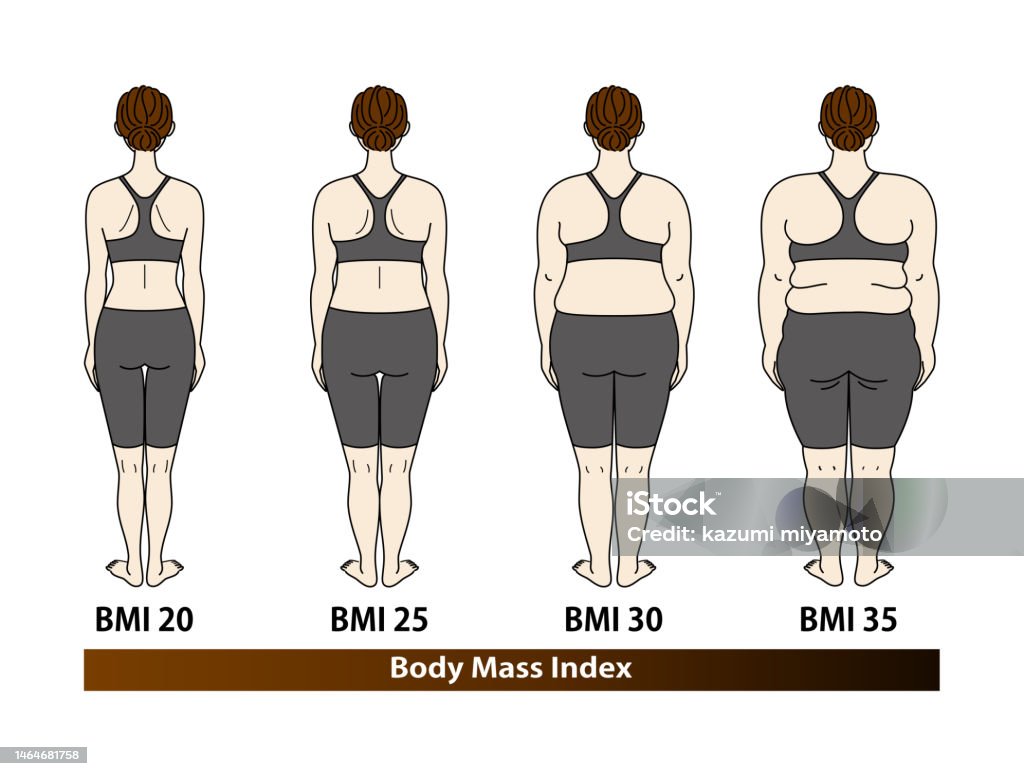 Bmi Change Body Shape Change By Body Mass Index Female Back View Bmi Illustration ...
