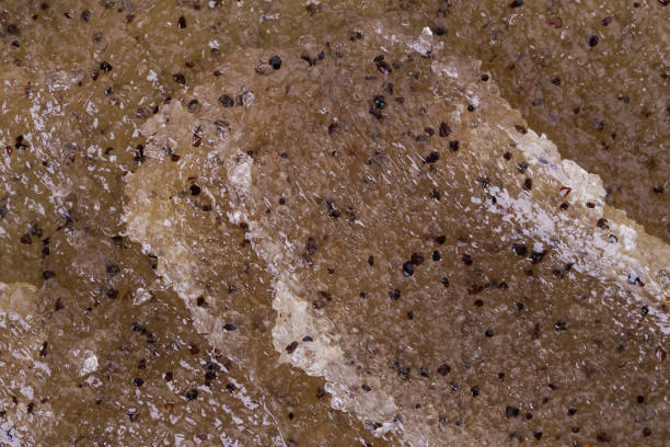 istock Texture of coffee and honey scrub, closeup. 1464684398