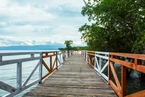 istock Wooden bridge or pedestrian path on water tourism 1464685340