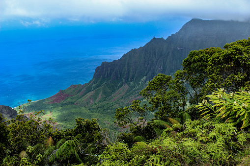 Kalala lookout on Hawaiian coast. View of mountain and ocean in the background and tropical forest in the foreground.