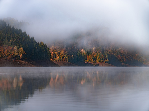 Yavoriv National Nature Park landscape in rainy morning, Ukraine