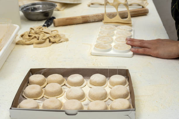 istock Process of preparation of dumplings 1464691620