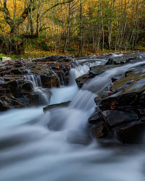 istock Long exposure of a rocky creek in a forest 1464691847