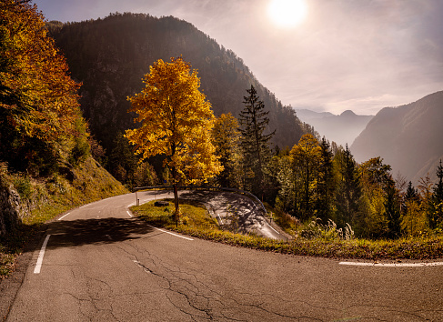 View on the winding road during autumn day in Slovenia. Photographed in medium format.