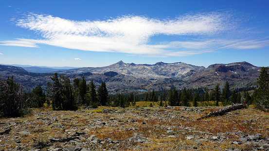 An aerial shot of a landscape with forests and mountains on a sunny day