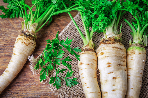 Raw parsley roots with green leaves on burlap napkin