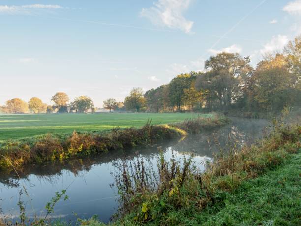 istock Green grassy field along the river in Westphalia, Germany 1464694040