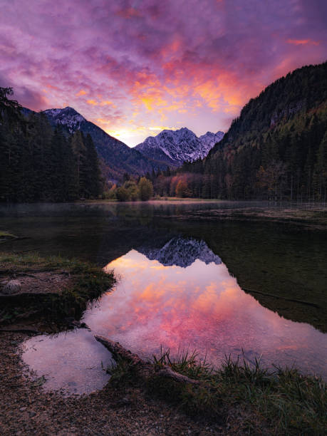 istock Alpine lake in Slovenia at sunset. 1464694401