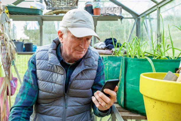 istock Rural professional in greenhouse using smart phone 1464698912