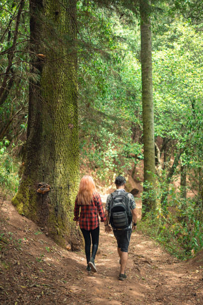 istock Vertical back view of a couple walking through a forest 1464699312