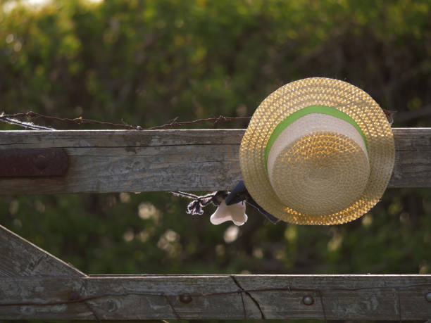 istock Straw hat hangs from a country wooden gate 1464699315