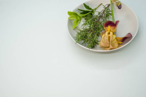 Closeup of a plate with rosemary, greens, and iris flower isolated on white surface for a copy space