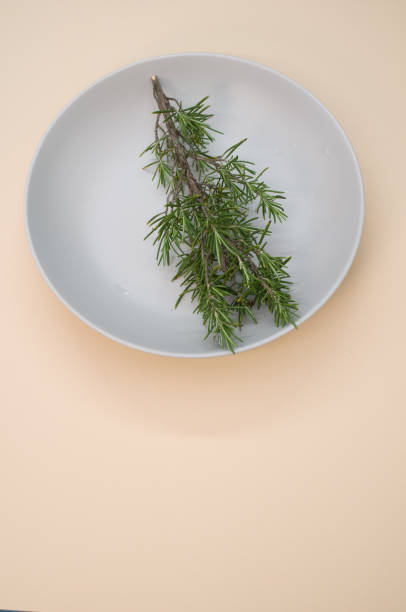 istock Vertical shot of a plate with rosemary branches isolated on cream surface 1464700389