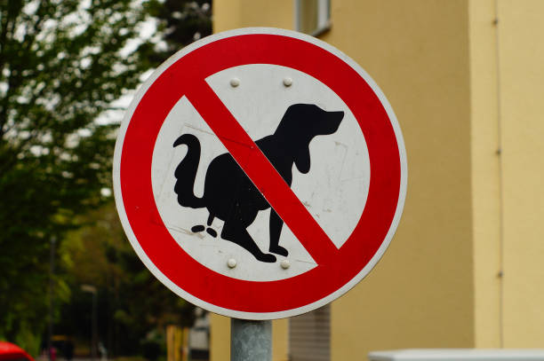 istock Sign: No dog toilet here! 1464700892
